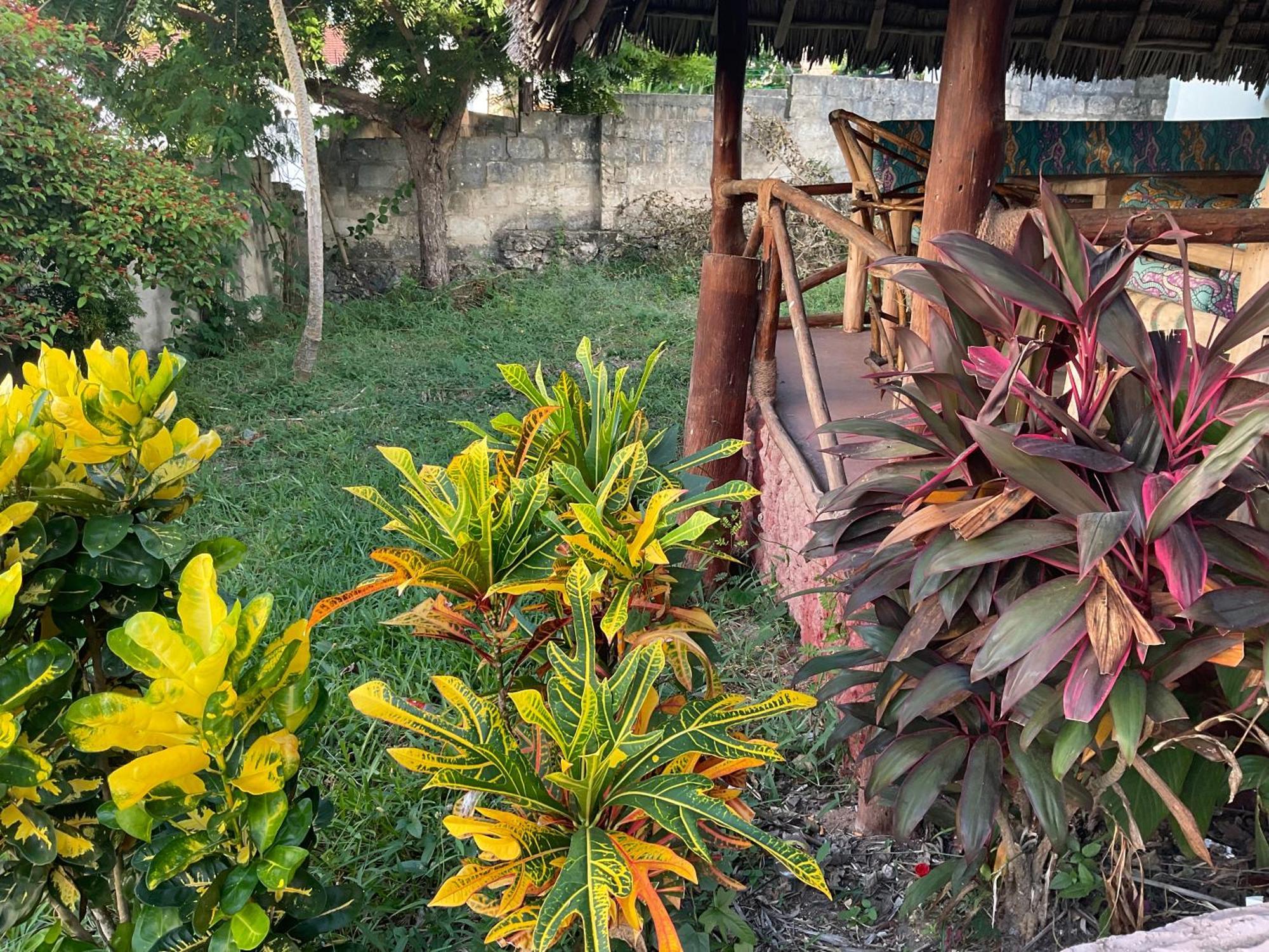 Zanzi Rest Bungalow Nungwi Eksteriør bilde