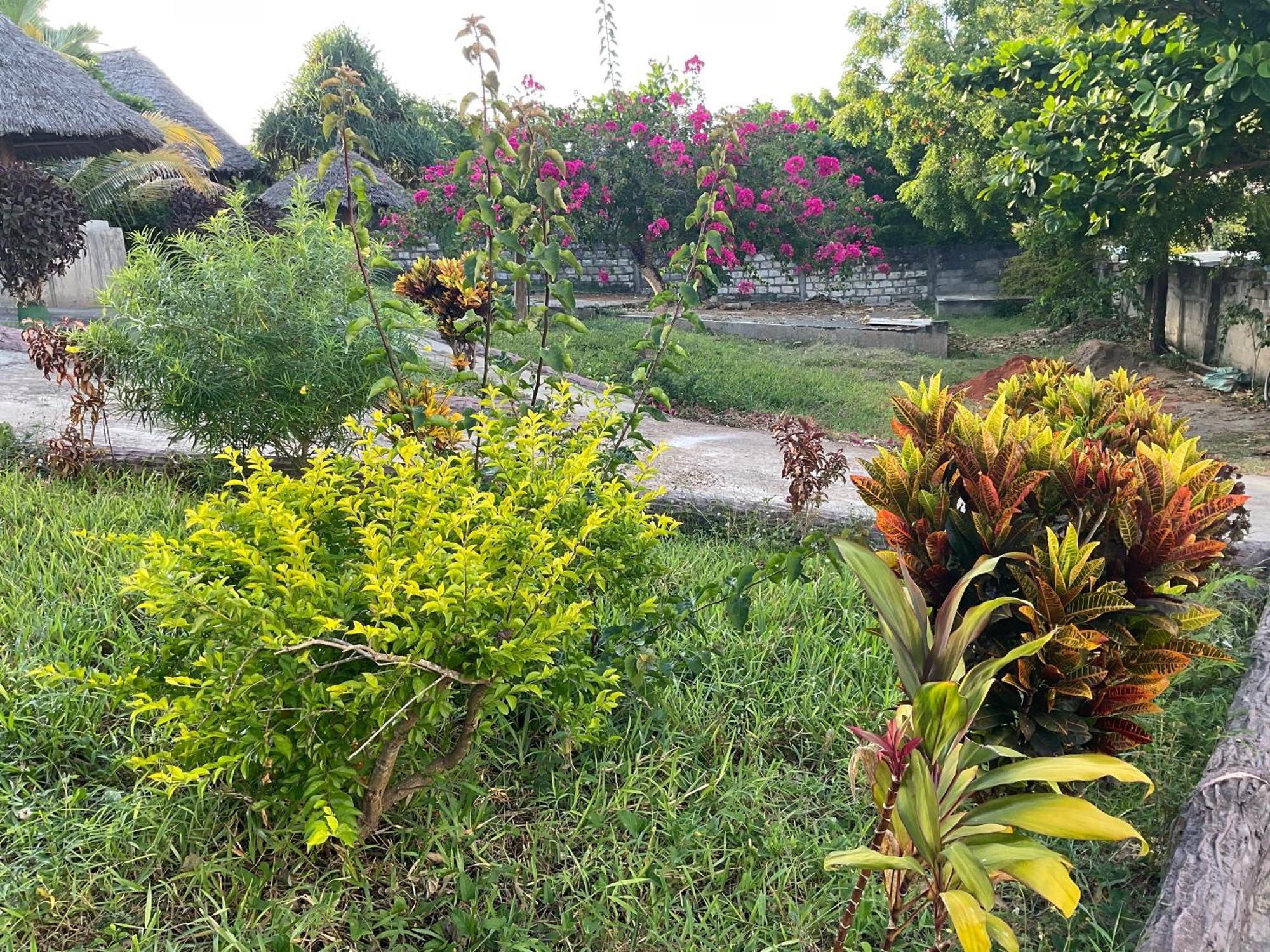 Zanzi Rest Bungalow Nungwi Eksteriør bilde