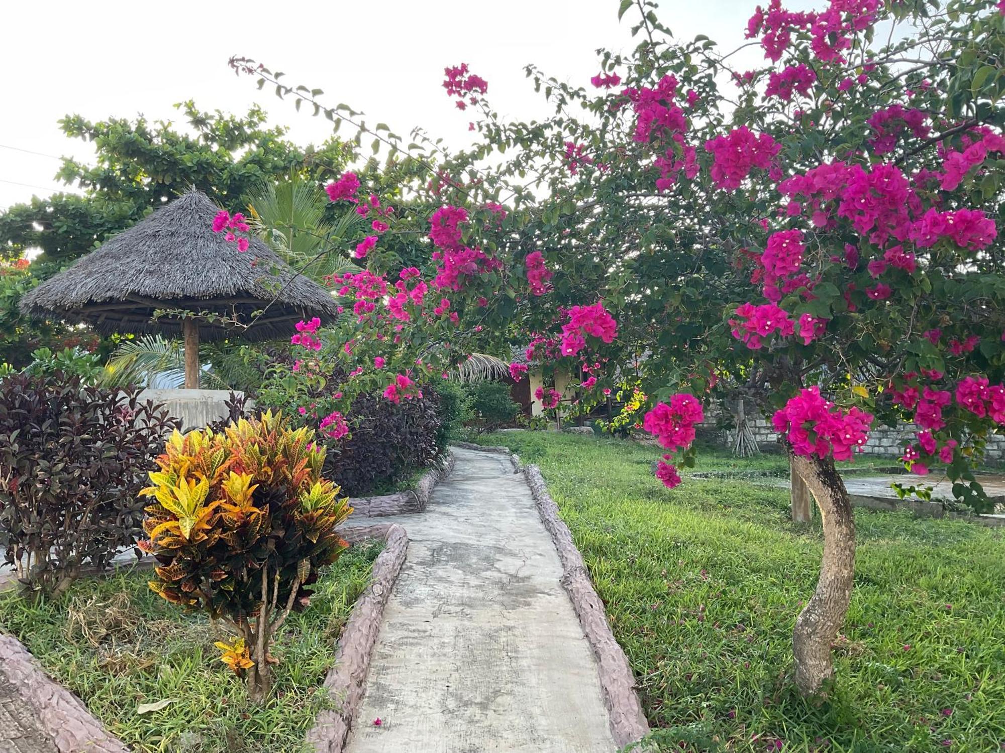 Zanzi Rest Bungalow Nungwi Eksteriør bilde