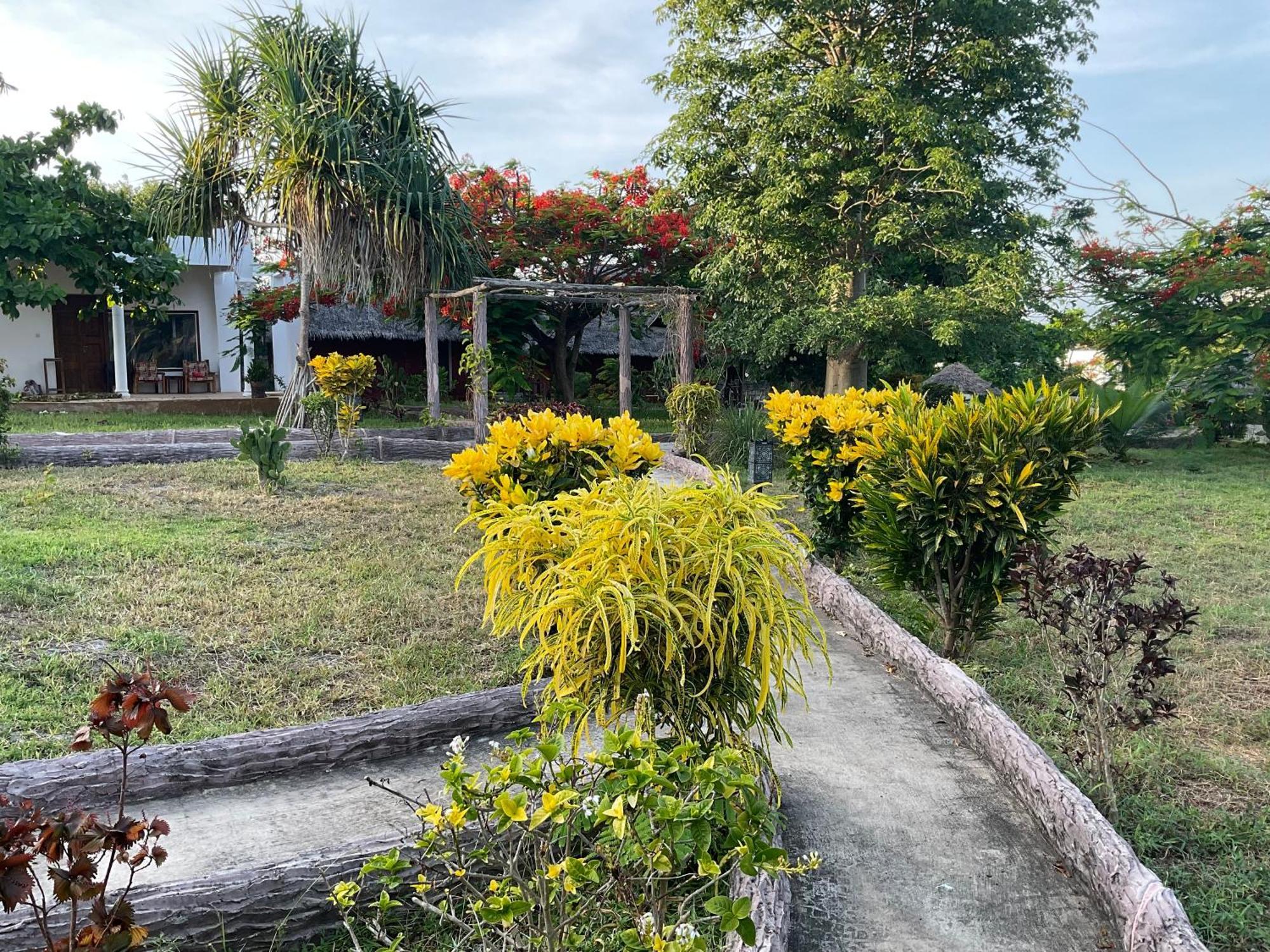 Zanzi Rest Bungalow Nungwi Eksteriør bilde