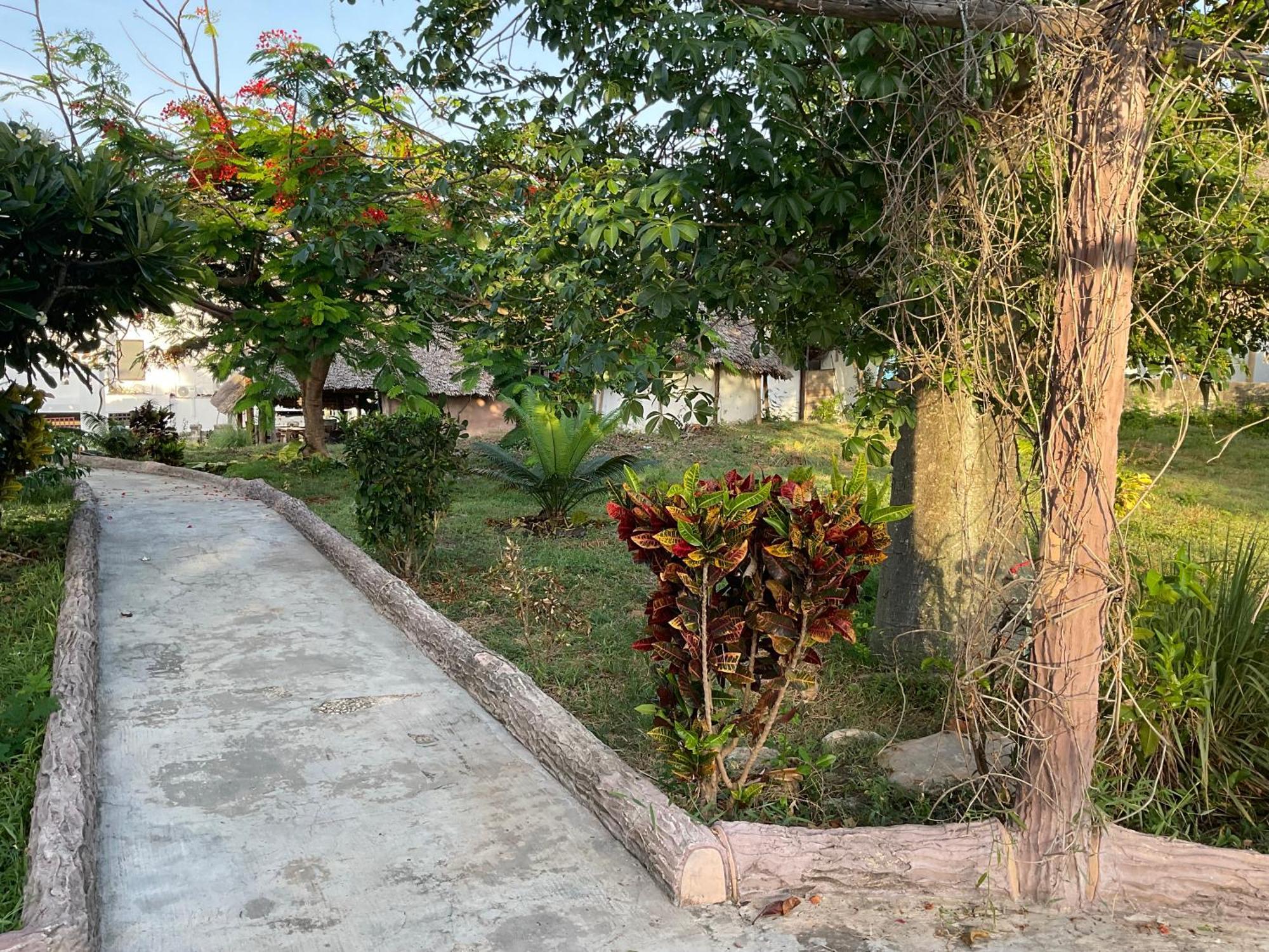 Zanzi Rest Bungalow Nungwi Eksteriør bilde