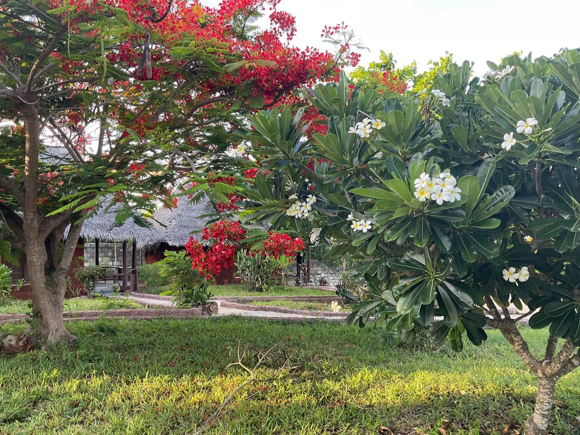 Zanzi Rest Bungalow Nungwi Eksteriør bilde