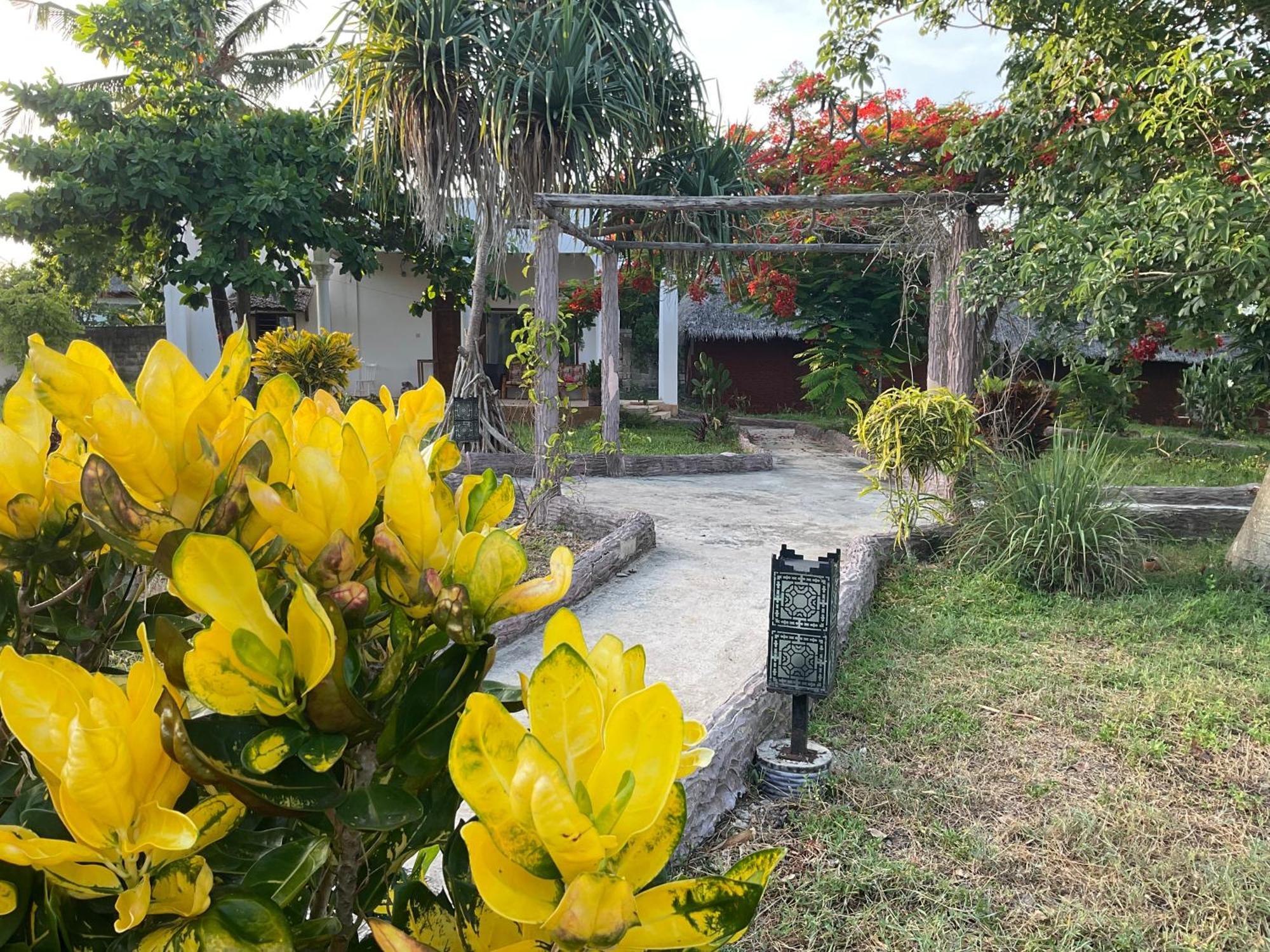 Zanzi Rest Bungalow Nungwi Eksteriør bilde