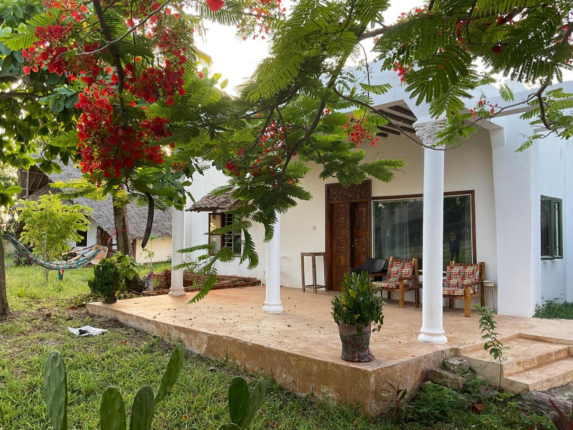 Zanzi Rest Bungalow Nungwi Eksteriør bilde