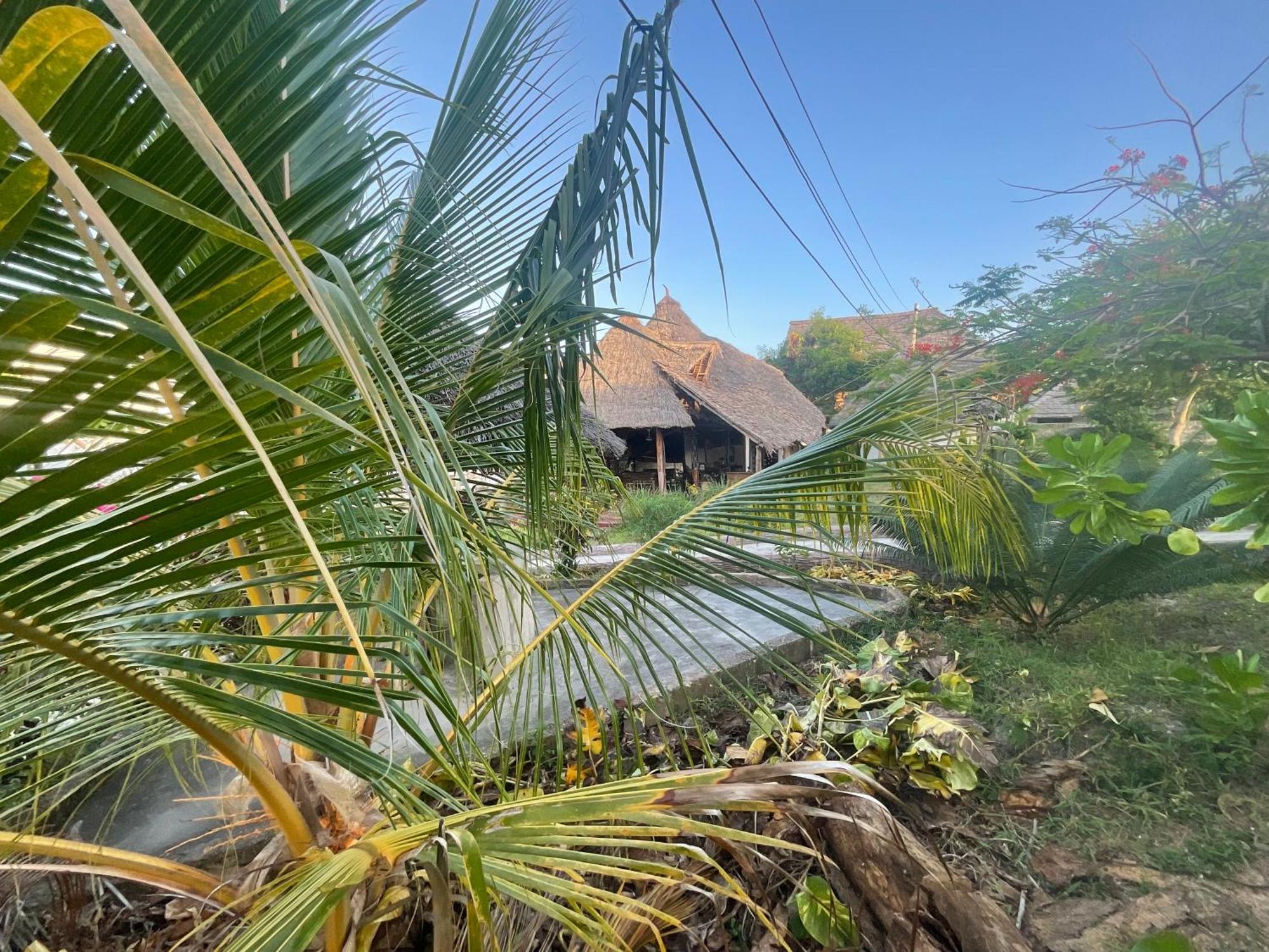 Zanzi Rest Bungalow Nungwi Eksteriør bilde