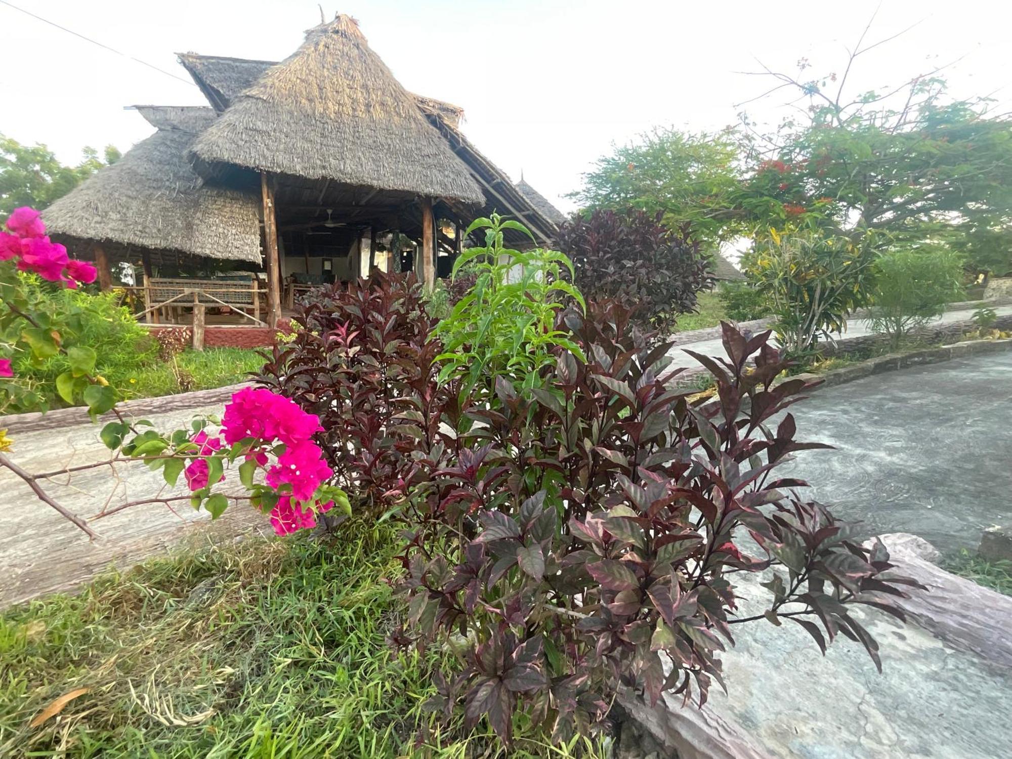 Zanzi Rest Bungalow Nungwi Eksteriør bilde