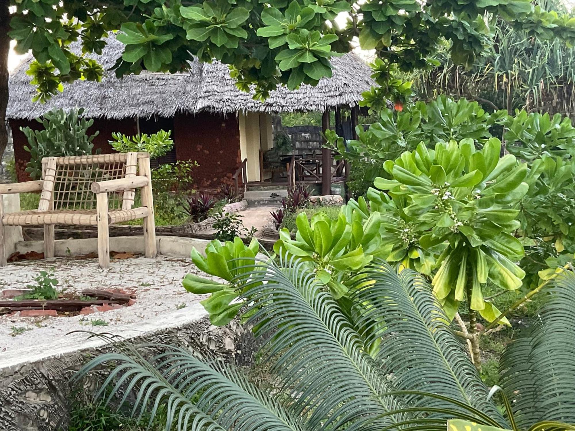Zanzi Rest Bungalow Nungwi Eksteriør bilde