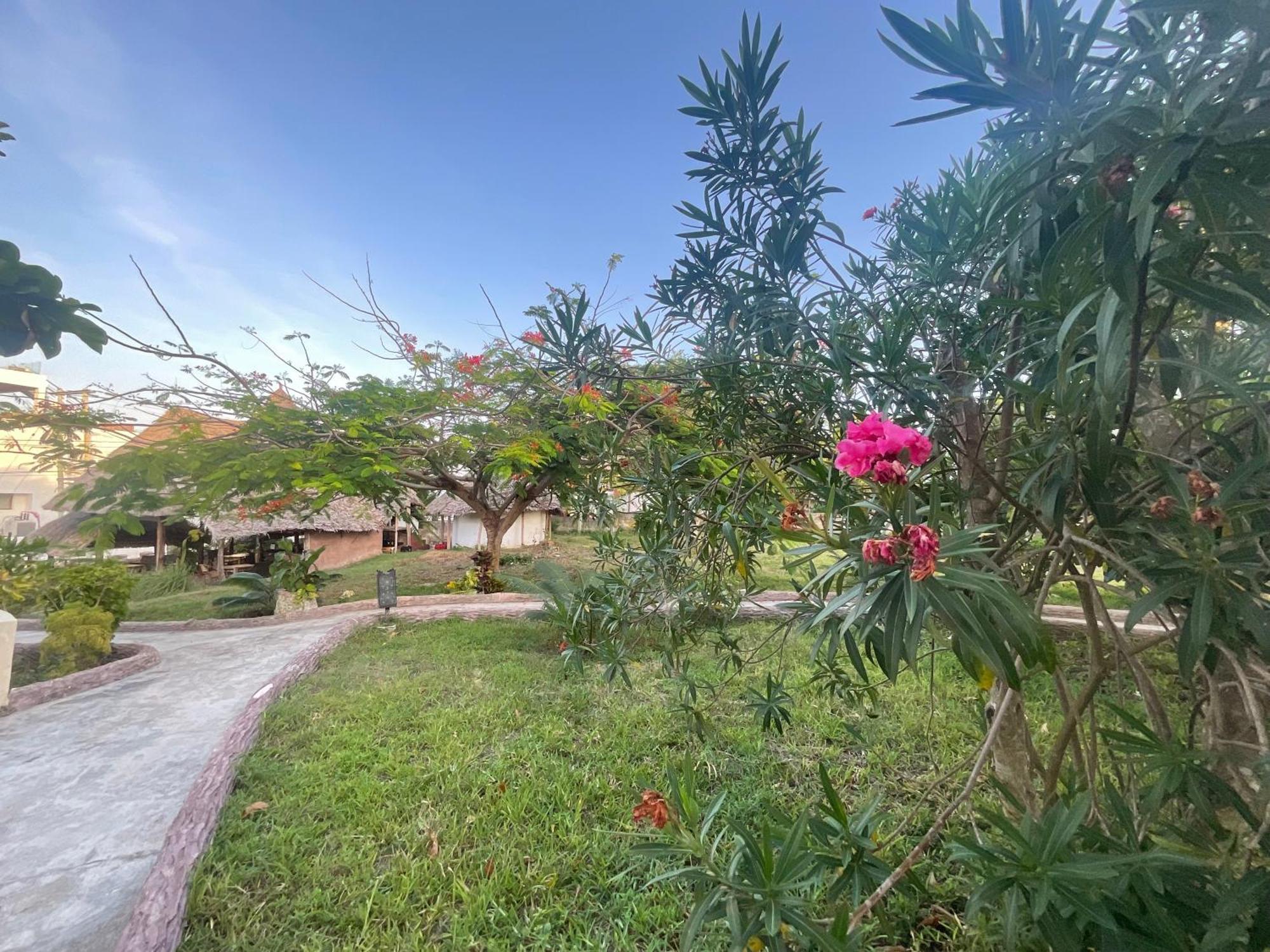 Zanzi Rest Bungalow Nungwi Eksteriør bilde